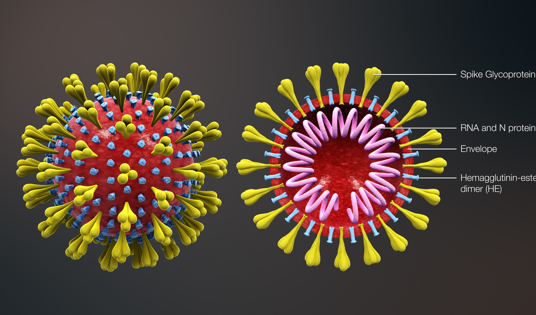 Emergenza coronavirus, priorità tutelare la salute e rallentare il contagio