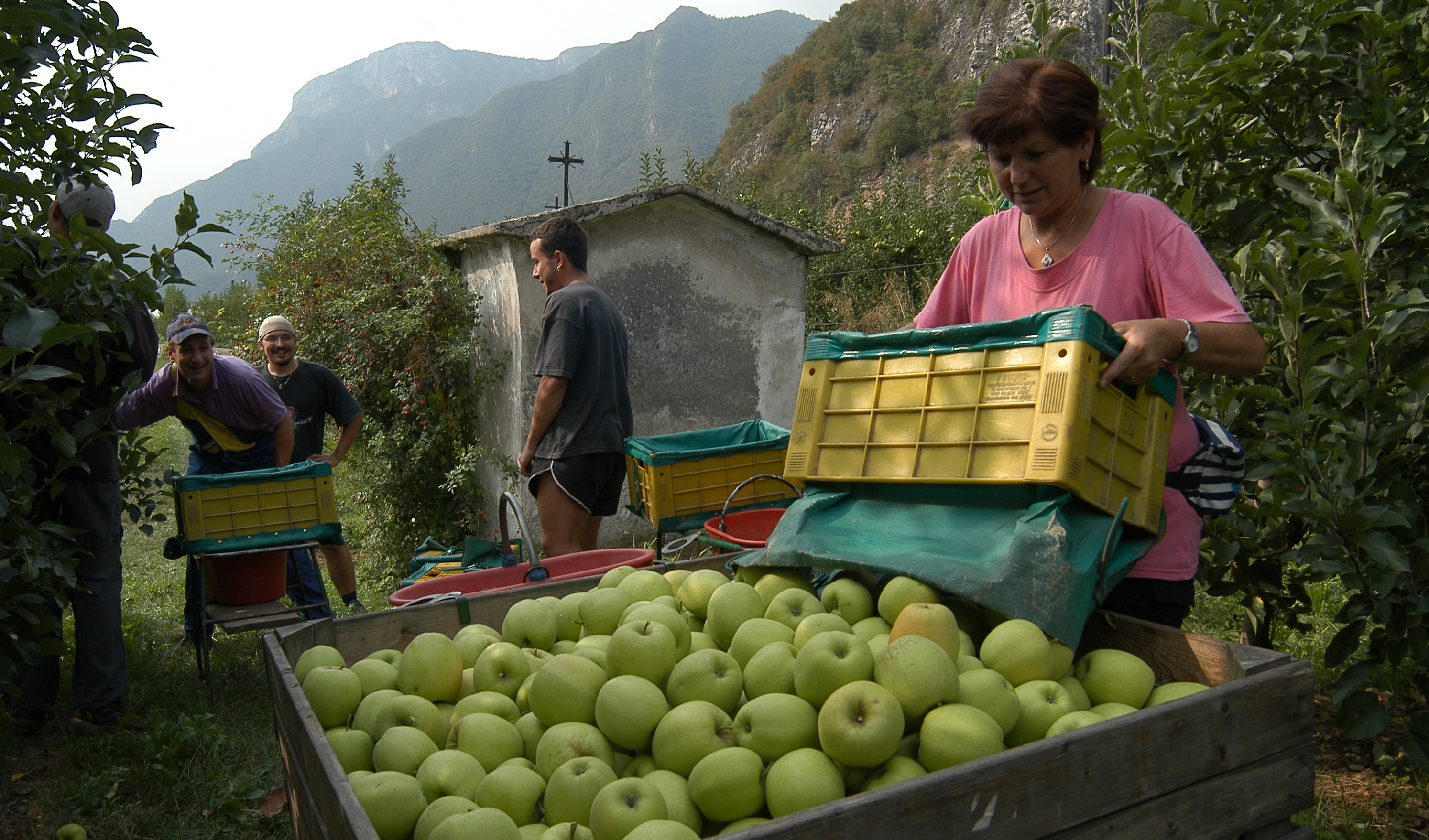 Nasce anche in Trentino la Rete del lavoro agricolo di qualità 